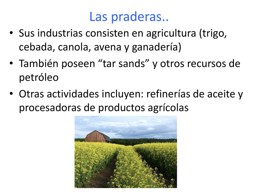 Las praderas.. Sus industrias consisten en agricultura (trigo, cebada, canola, avena y ganadería)