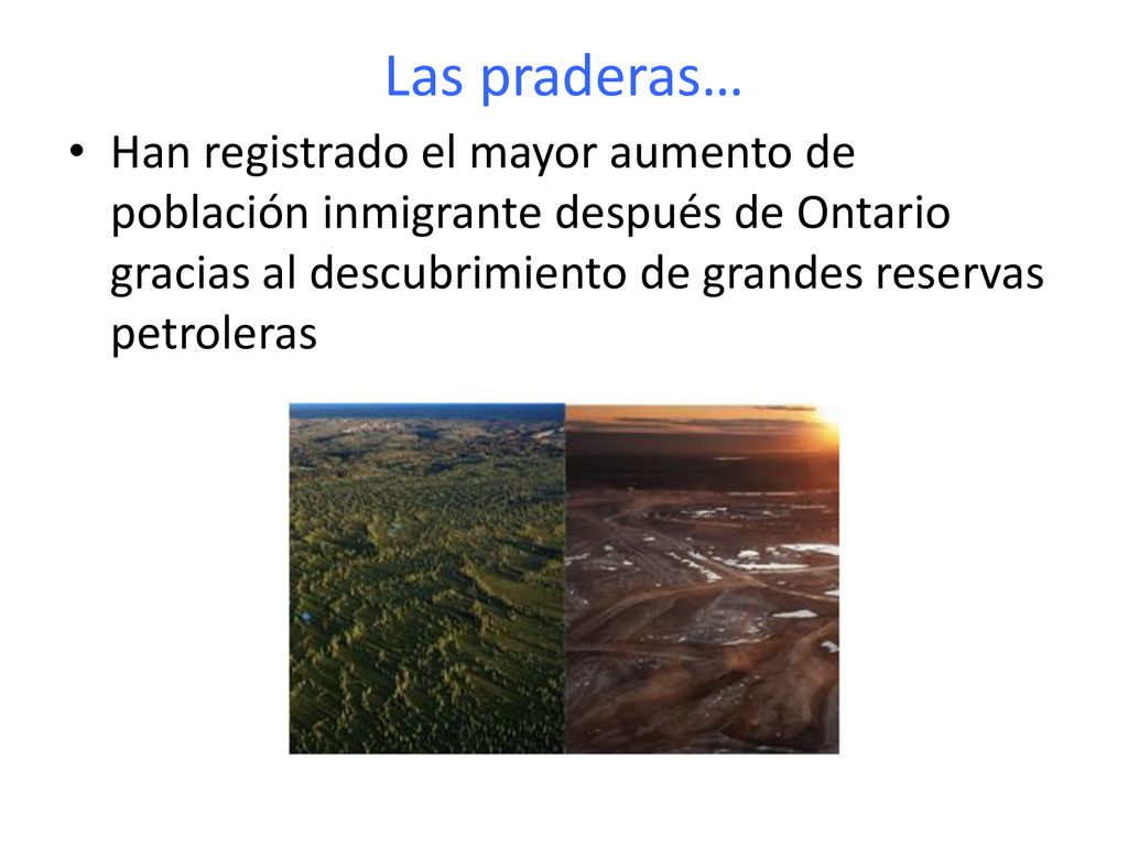 Las praderas… Han registrado el mayor aumento de población inmigrante después de Ontario gracias al descubrimiento de grandes reservas petroleras.
