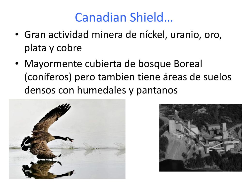 Canadian Shield… Gran actividad minera de níckel, uranio, oro, plata y cobre.