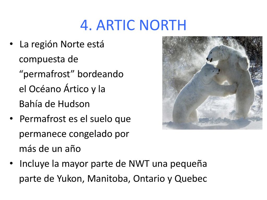4. ARTIC NORTH La región Norte está compuesta de