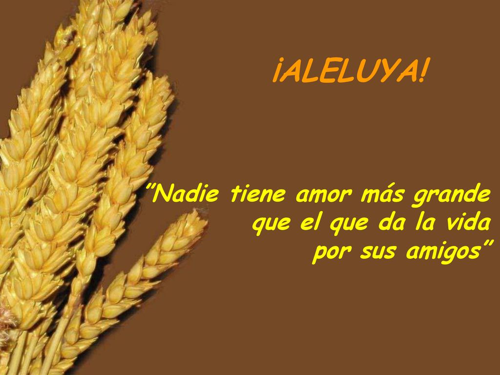 ¡ALELUYA! Nadie tiene amor más grande que el que da la vida