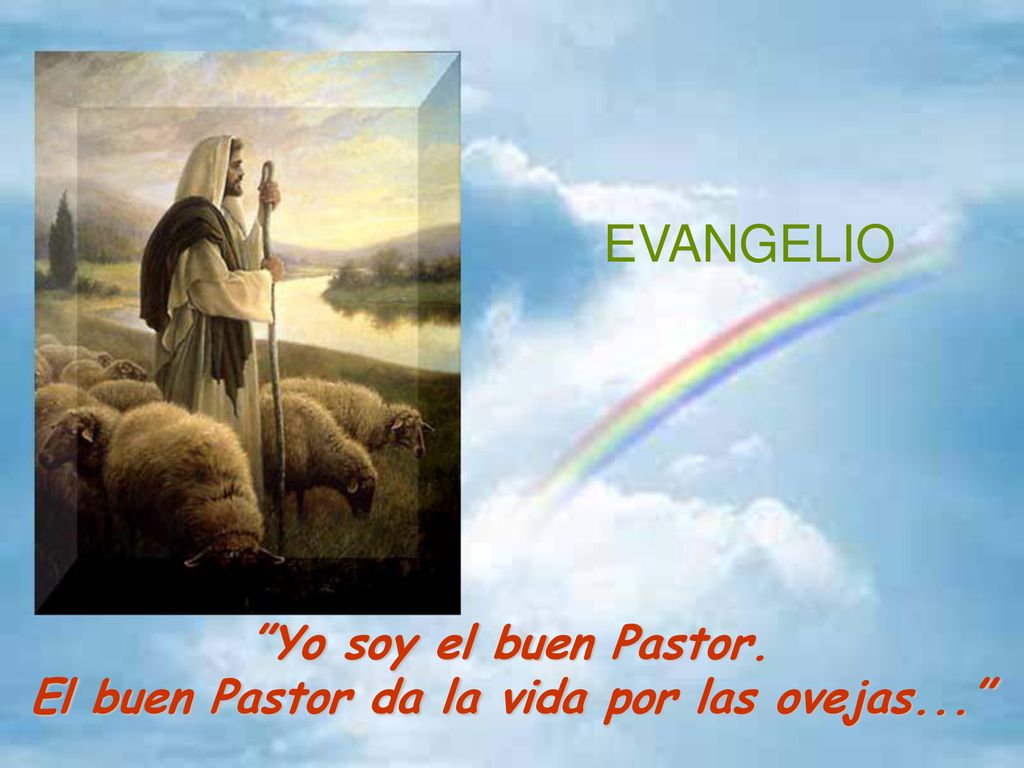 El buen Pastor da la vida por las ovejas...