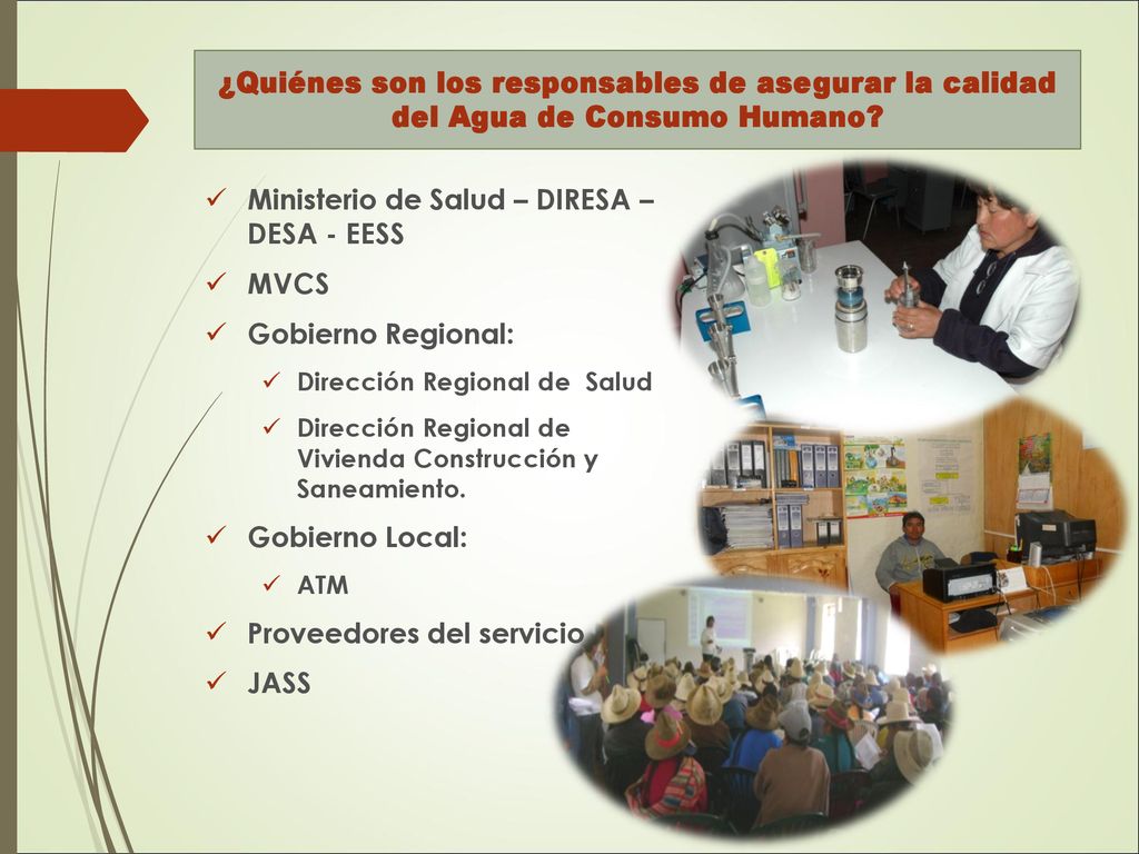 Ministerio de Salud – DIRESA – DESA - EESS MVCS Gobierno Regional: