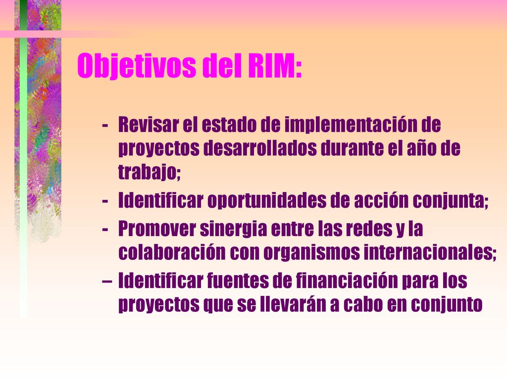 Objetivos del RIM: Revisar el estado de implementación de proyectos desarrollados durante el año de trabajo;