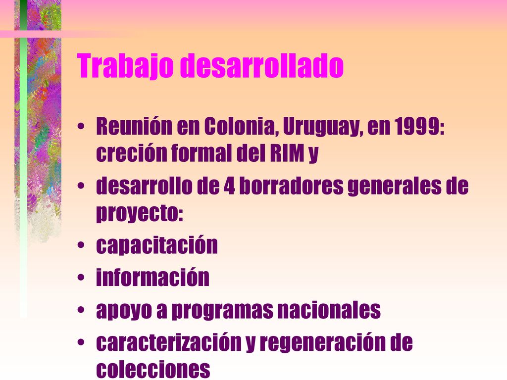Trabajo desarrollado Reunión en Colonia, Uruguay, en 1999: creción formal del RIM y. desarrollo de 4 borradores generales de proyecto: