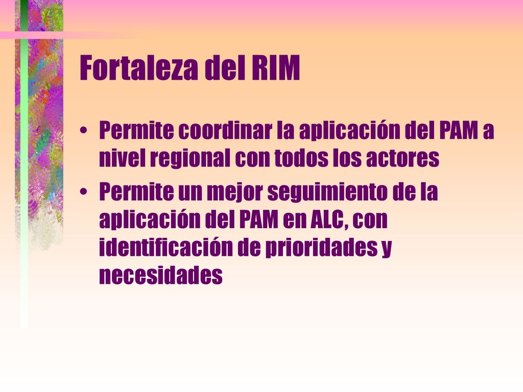 Fortaleza del RIM Permite coordinar la aplicación del PAM a nivel regional con todos los actores.