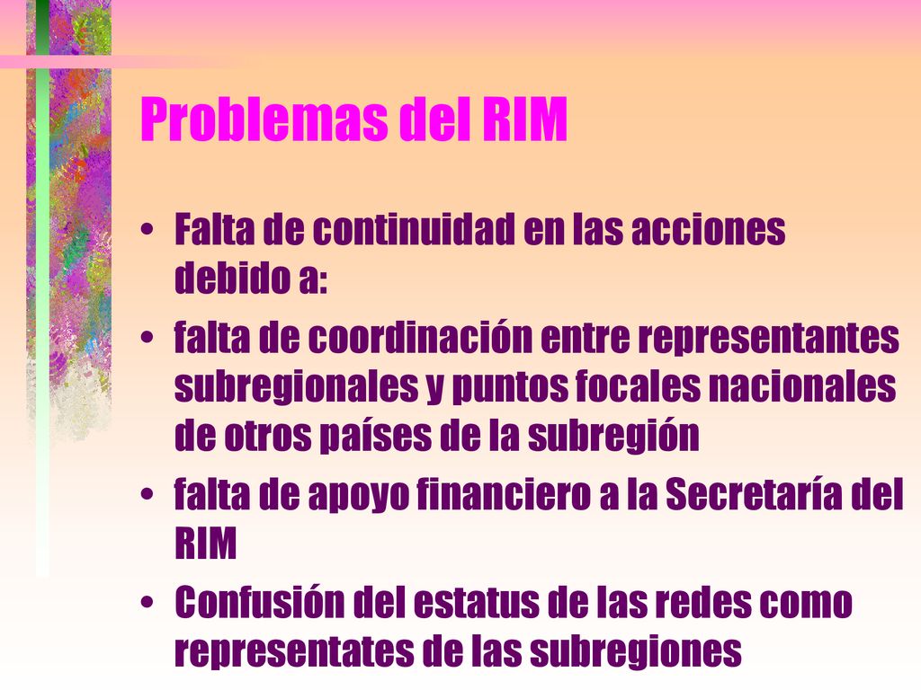 Problemas del RIM Falta de continuidad en las acciones debido a: