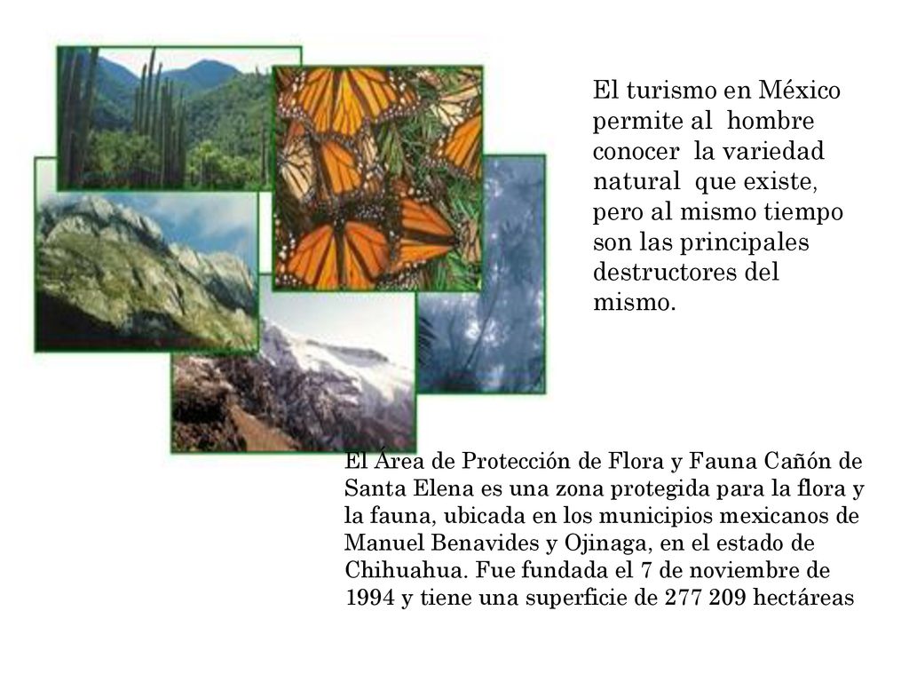 El turismo en México permite al hombre conocer la variedad natural que existe, pero al mismo tiempo son las principales destructores del mismo.