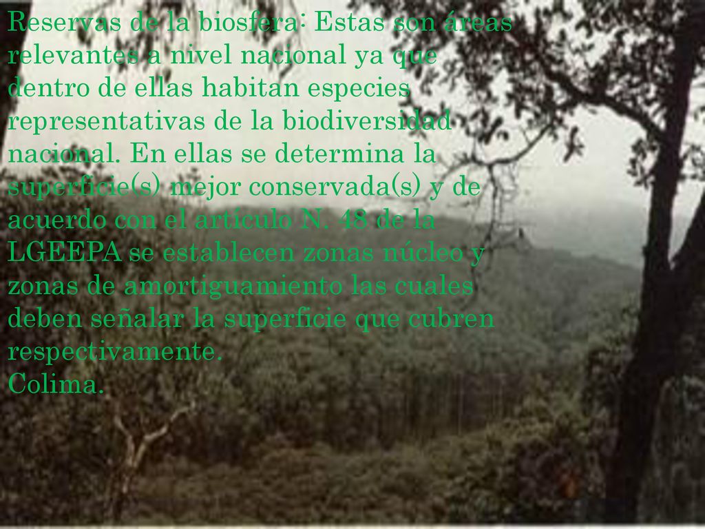 Reservas de la biosfera: Estas son áreas relevantes a nivel nacional ya que dentro de ellas habitan especies representativas de la biodiversidad nacional. En ellas se determina la superficie(s) mejor conservada(s) y de acuerdo con el artículo N. 48 de la LGEEPA se establecen zonas núcleo y zonas de amortiguamiento las cuales deben señalar la superficie que cubren respectivamente.