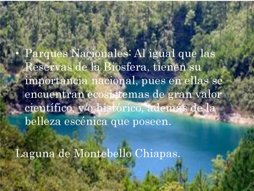 Parques Nacionales: Al igual que las Reservas de la Biosfera, tienen su importancia nacional, pues en ellas se encuentran ecosistemas de gran valor científico, y/o histórico, además de la belleza escénica que poseen.