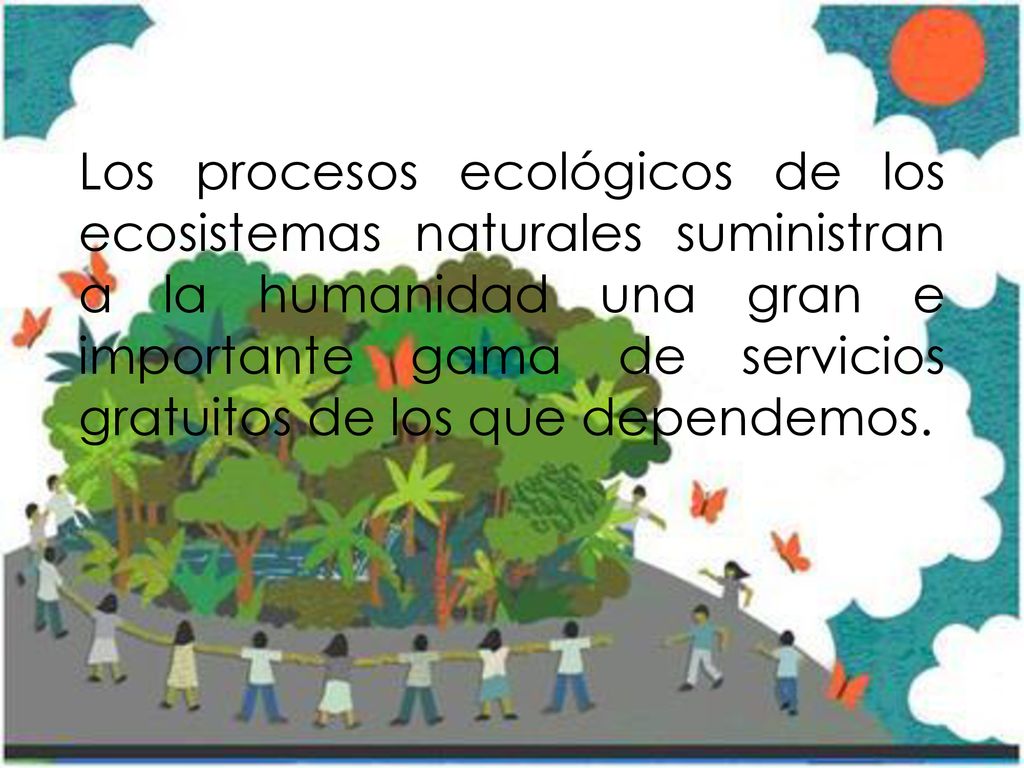 Los procesos ecológicos de los ecosistemas naturales suministran a la humanidad una gran e importante gama de servicios gratuitos de los que dependemos.