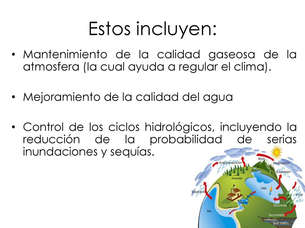 Estos incluyen: Mantenimiento de la calidad gaseosa de la atmosfera (la cual ayuda a regular el clima).