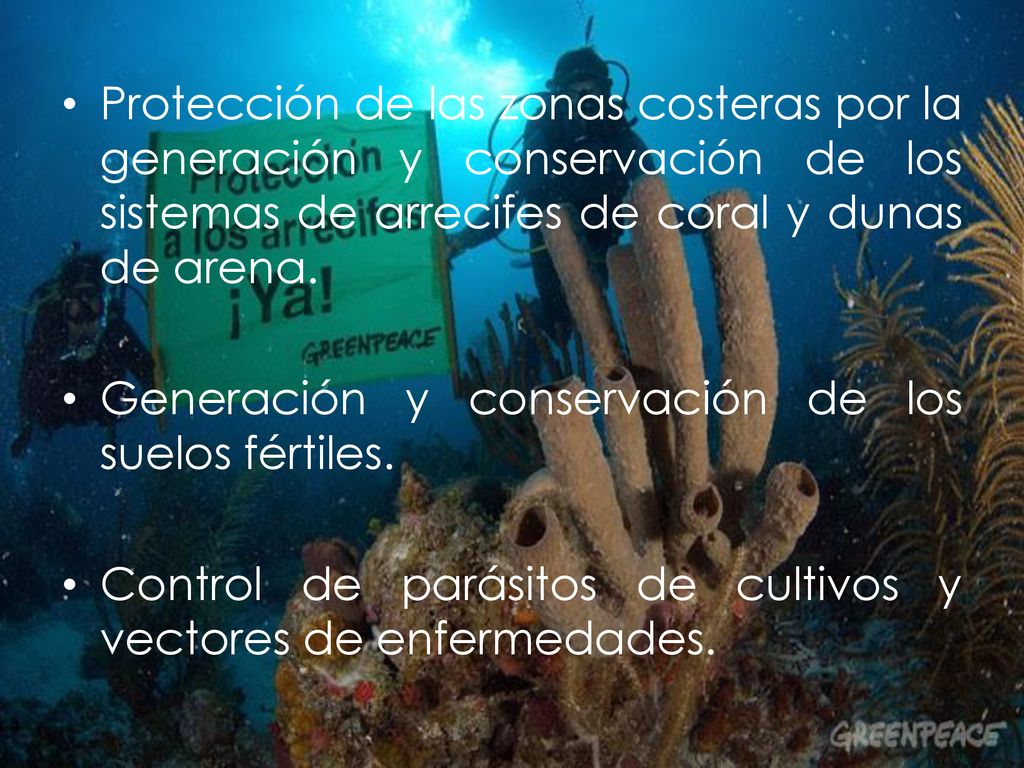 Protección de las zonas costeras por la generación y conservación de los sistemas de arrecifes de coral y dunas de arena.