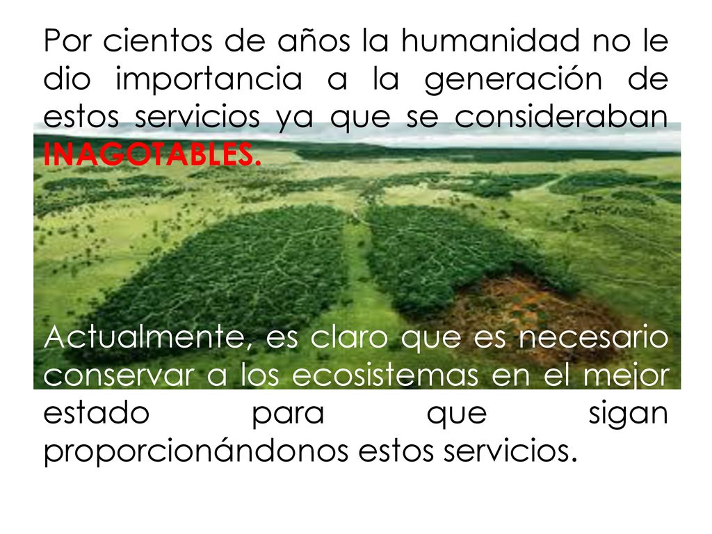 Por cientos de años la humanidad no le dio importancia a la generación de estos servicios ya que se consideraban INAGOTABLES.