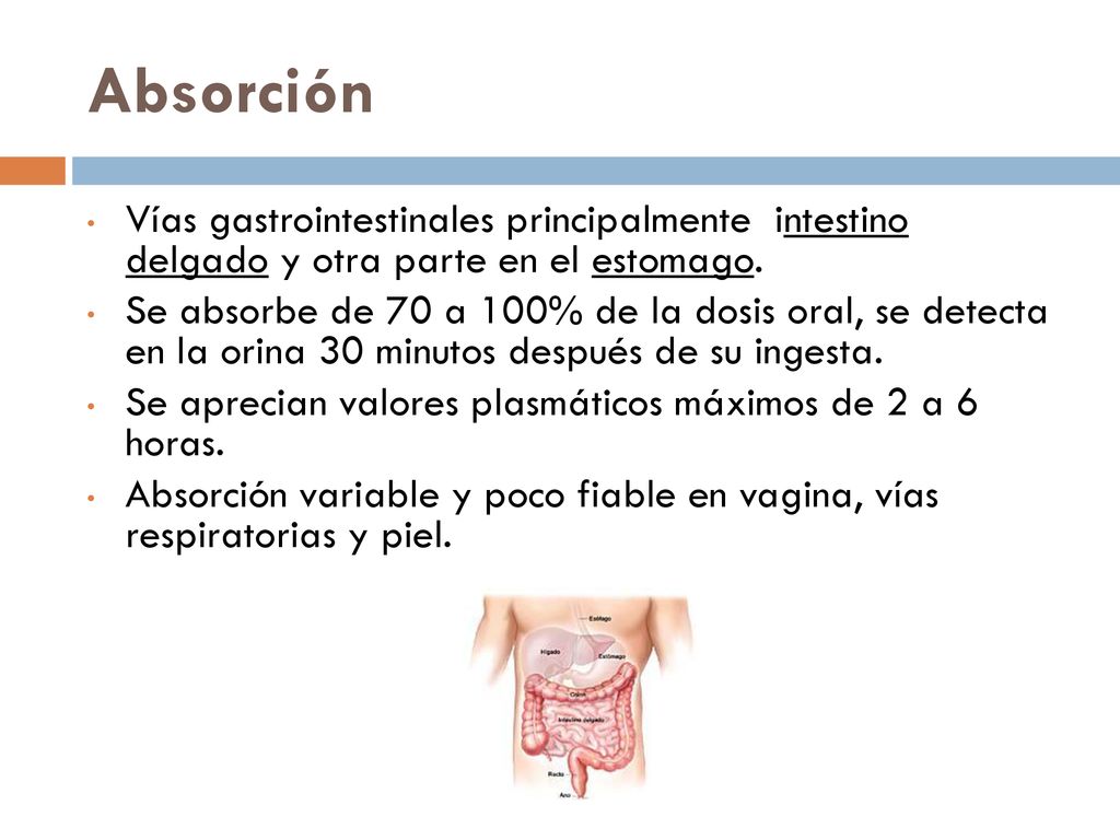 Absorción Vías gastrointestinales principalmente intestino delgado y otra parte en el estomago.