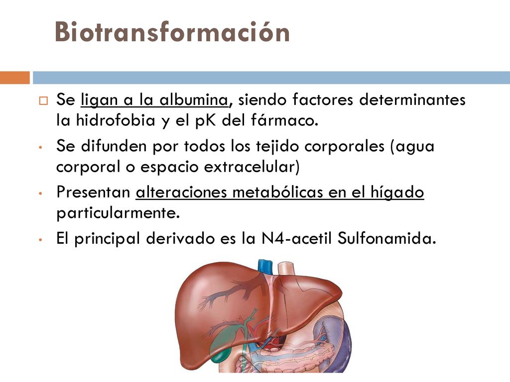 Biotransformación Se ligan a la albumina, siendo factores determinantes la hidrofobia y el pK del fármaco.