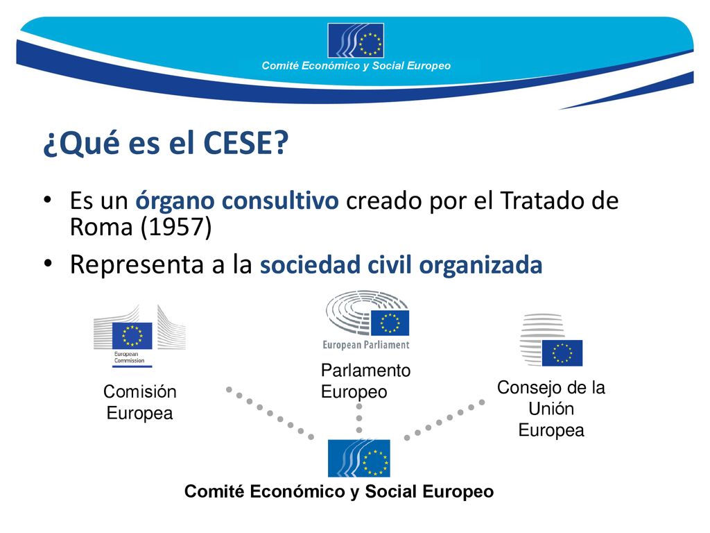 ¿Qué es el CESE Representa a la sociedad civil organizada
