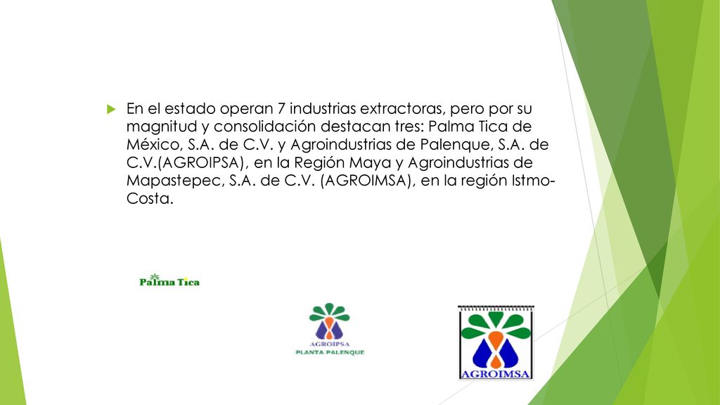 En el estado operan 7 industrias extractoras, pero por su magnitud y consolidación destacan tres: Palma Tica de México, S.A.