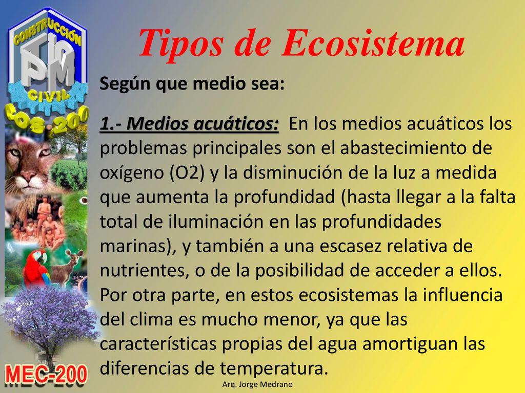 Tipos de Ecosistema Según que medio sea: