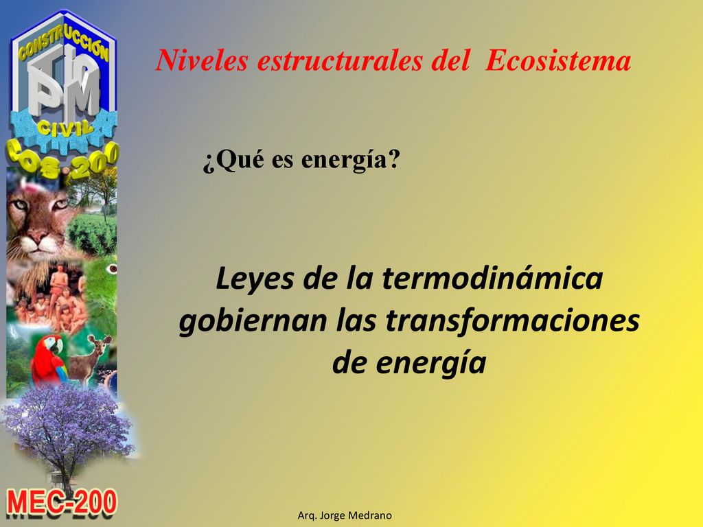 Leyes de la termodinámica gobiernan las transformaciones de energía