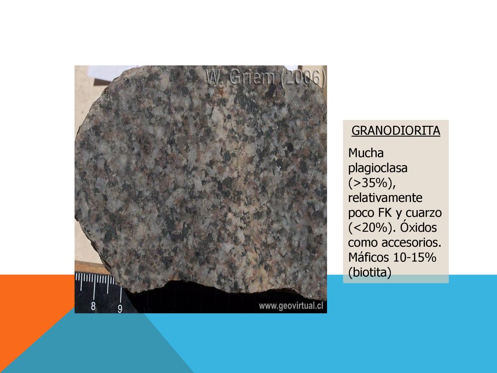 GRANODIORITA Mucha plagioclasa (>35%), relativamente poco FK y cuarzo (<20%). Óxidos como accesorios. Máficos 10-15% (biotita)