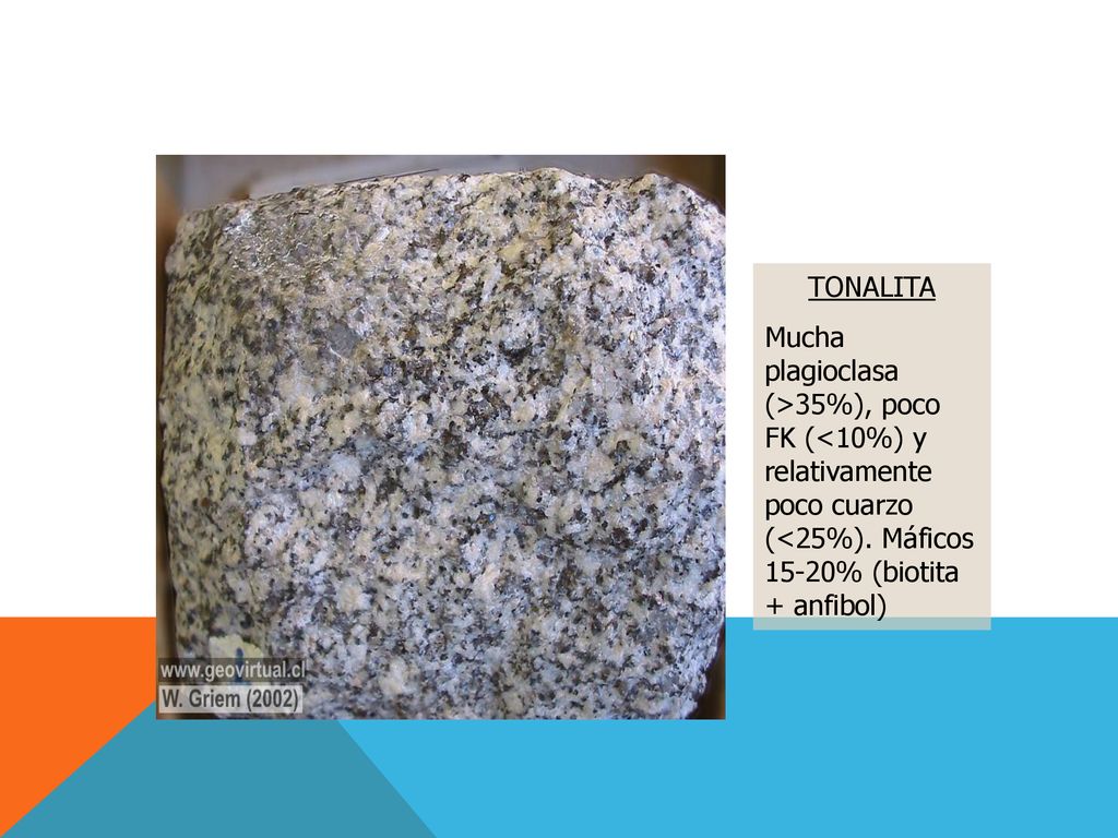 TONALITA Mucha plagioclasa (>35%), poco FK (<10%) y relativamente poco cuarzo (<25%). Máficos 15-20% (biotita + anfibol)