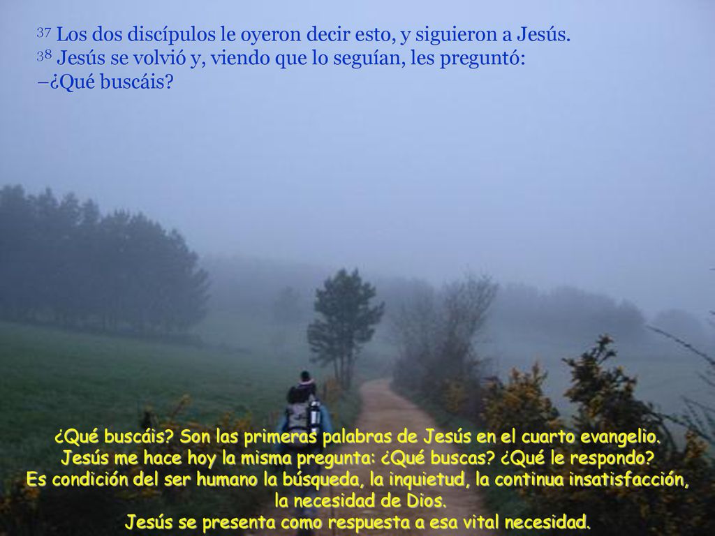 37 Los dos discípulos le oyeron decir esto, y siguieron a Jesús