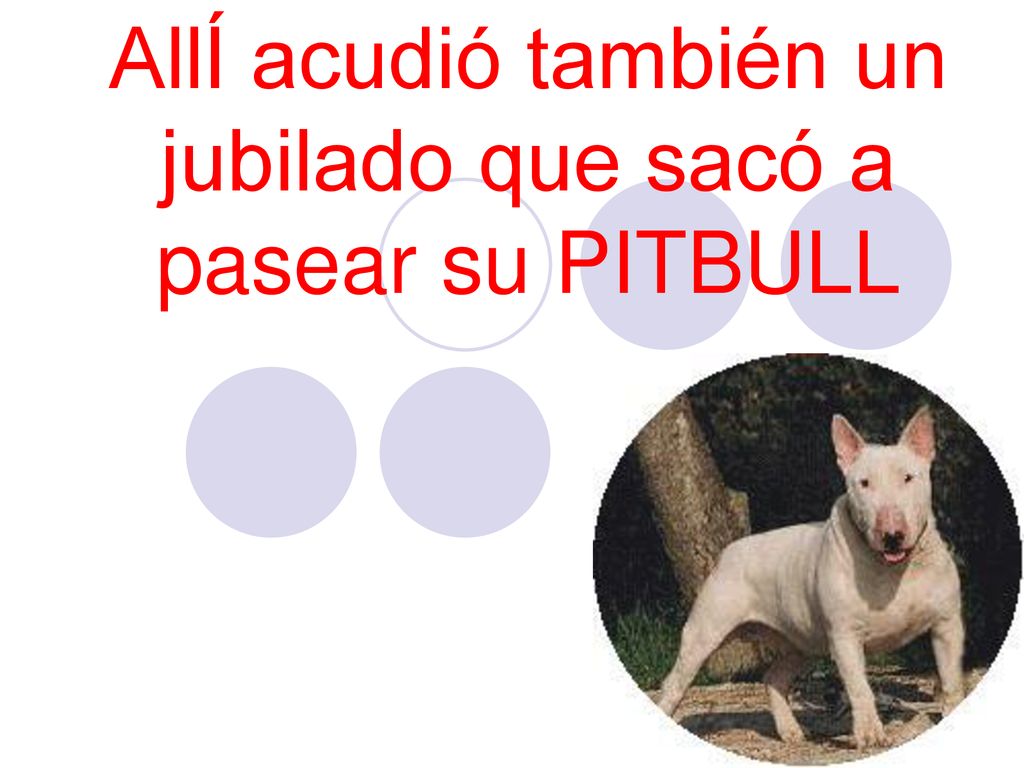 AllÍ acudió también un jubilado que sacó a pasear su PITBULL