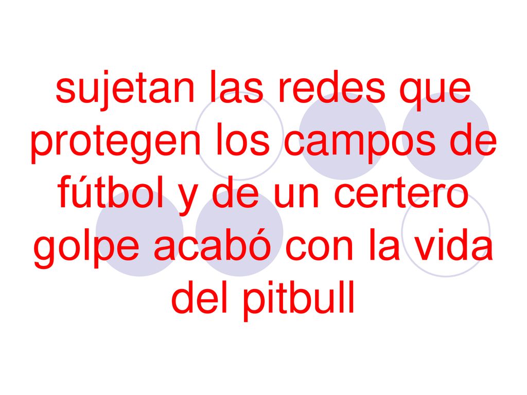 sujetan las redes que protegen los campos de fútbol y de un certero golpe acabó con la vida del pitbull