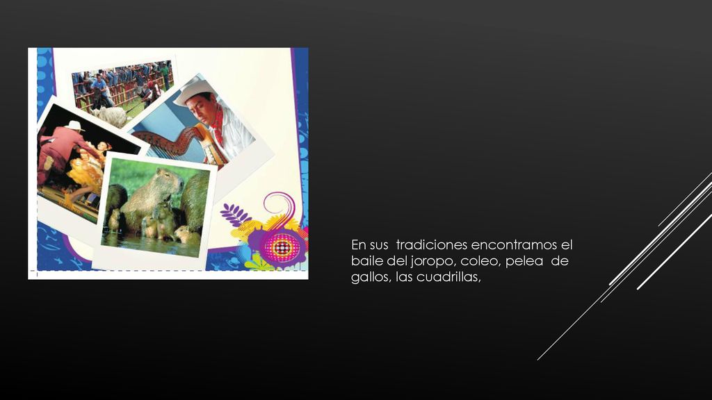 En sus tradiciones encontramos el baile del joropo, coleo, pelea de gallos, las cuadrillas,