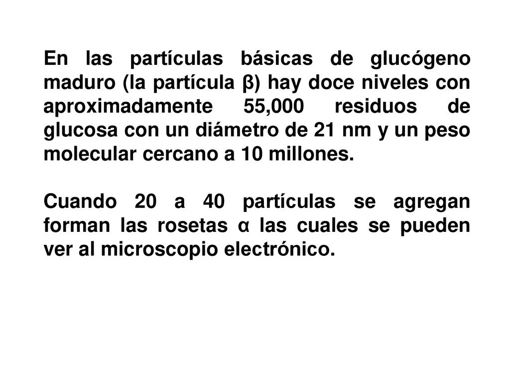 En las partículas básicas de glucógeno maduro (la partícula β) hay doce niveles con aproximadamente 55,000 residuos de glucosa con un diámetro de 21 nm y un peso molecular cercano a 10 millones.