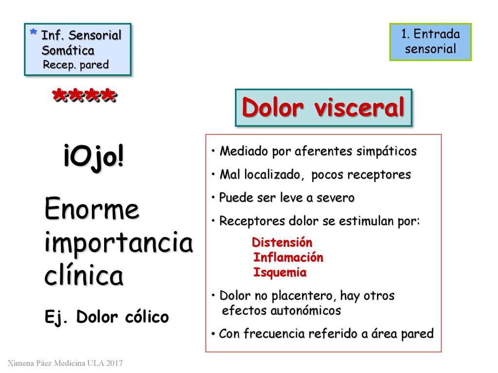 **** ¡Ojo! Enorme importancia clínica Dolor visceral Ej. Dolor cólico