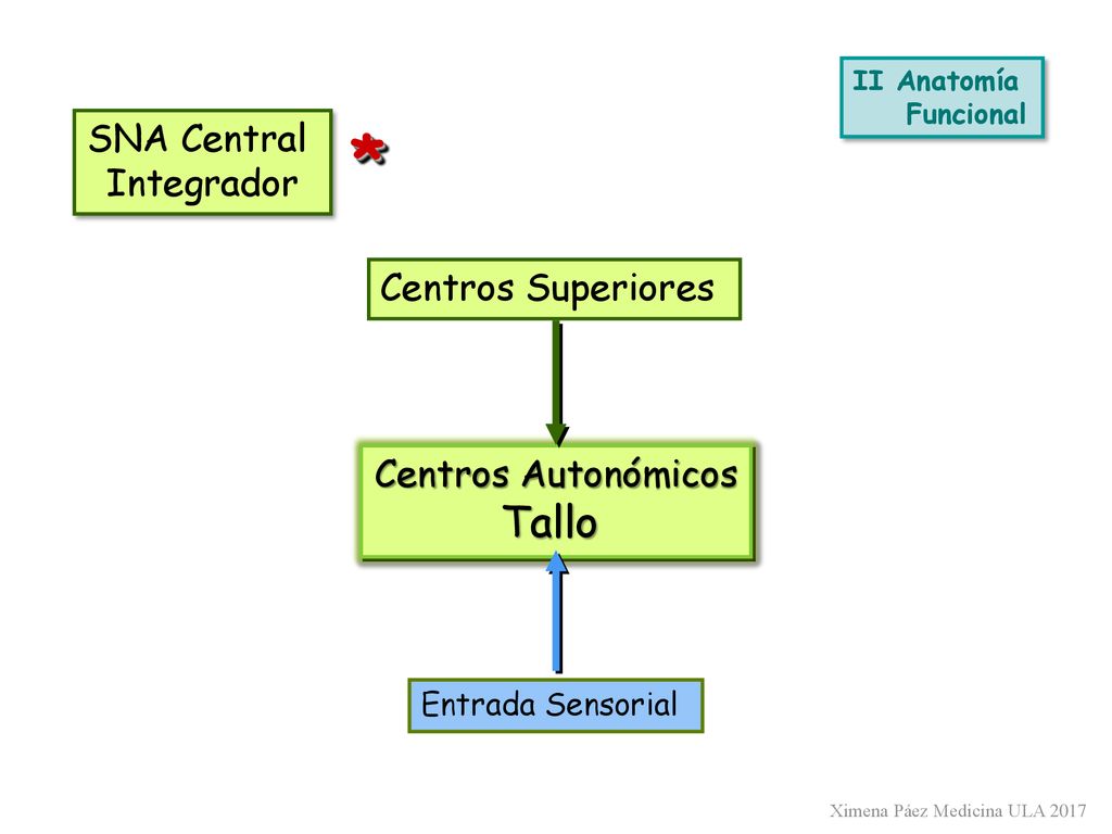 * Tallo SNA Central Integrador Centros Superiores Centros Autonómicos