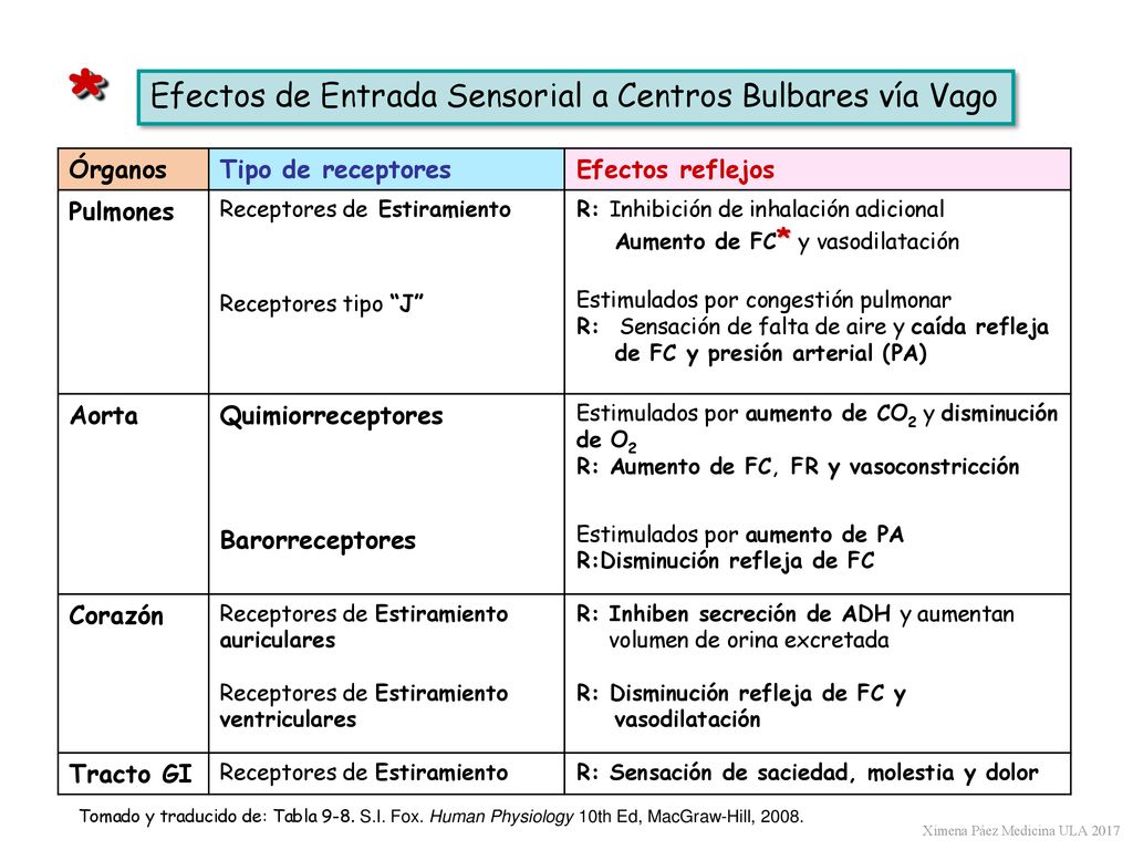 * Efectos de Entrada Sensorial a Centros Bulbares vía Vago Órganos