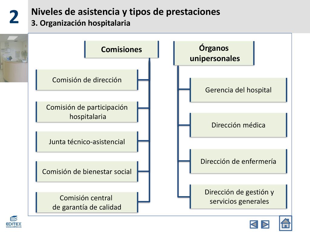 2 Niveles de asistencia y tipos de prestaciones 3. Organización hospitalaria. Comisiones. Comisión de dirección.