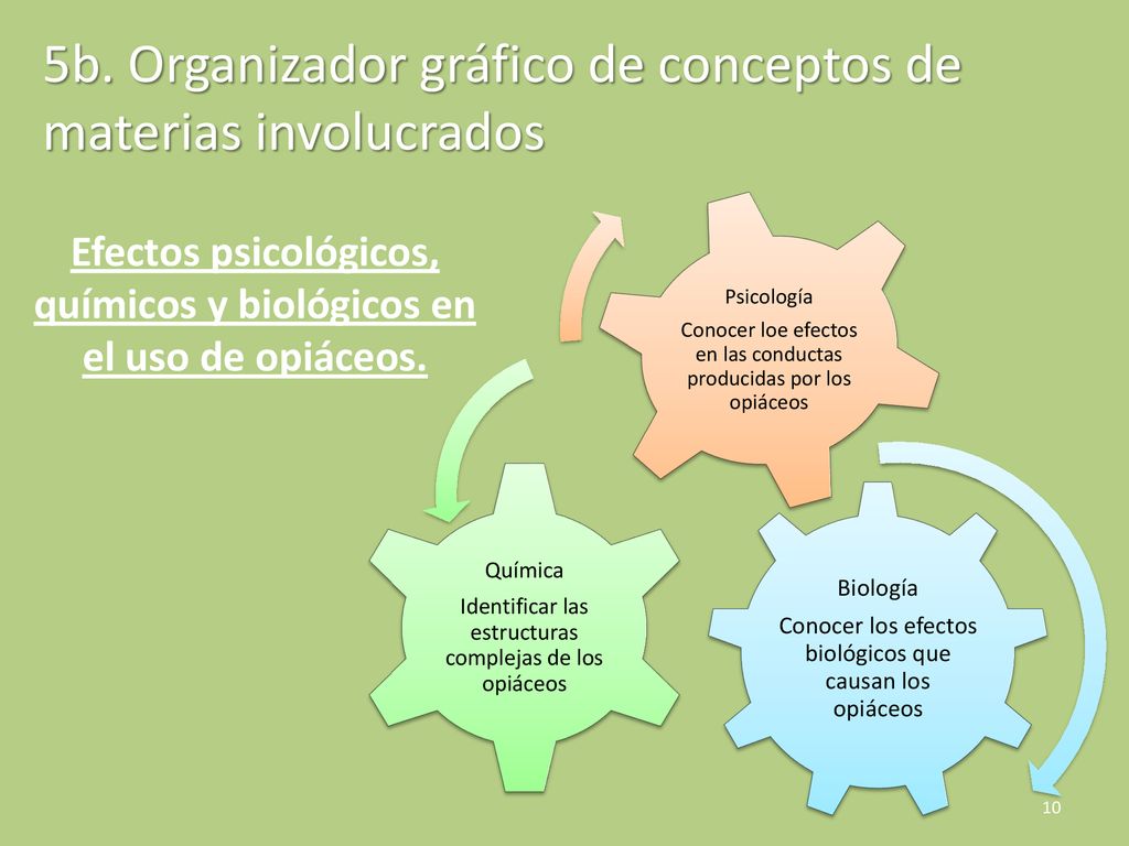 Efectos psicológicos, químicos y biológicos en el uso de opiáceos.