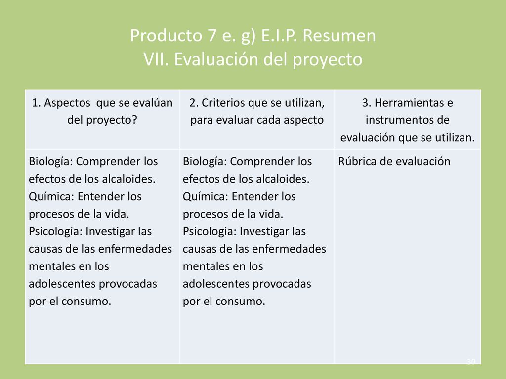 Producto 7 e. g) E.I.P. Resumen VII. Evaluación del proyecto