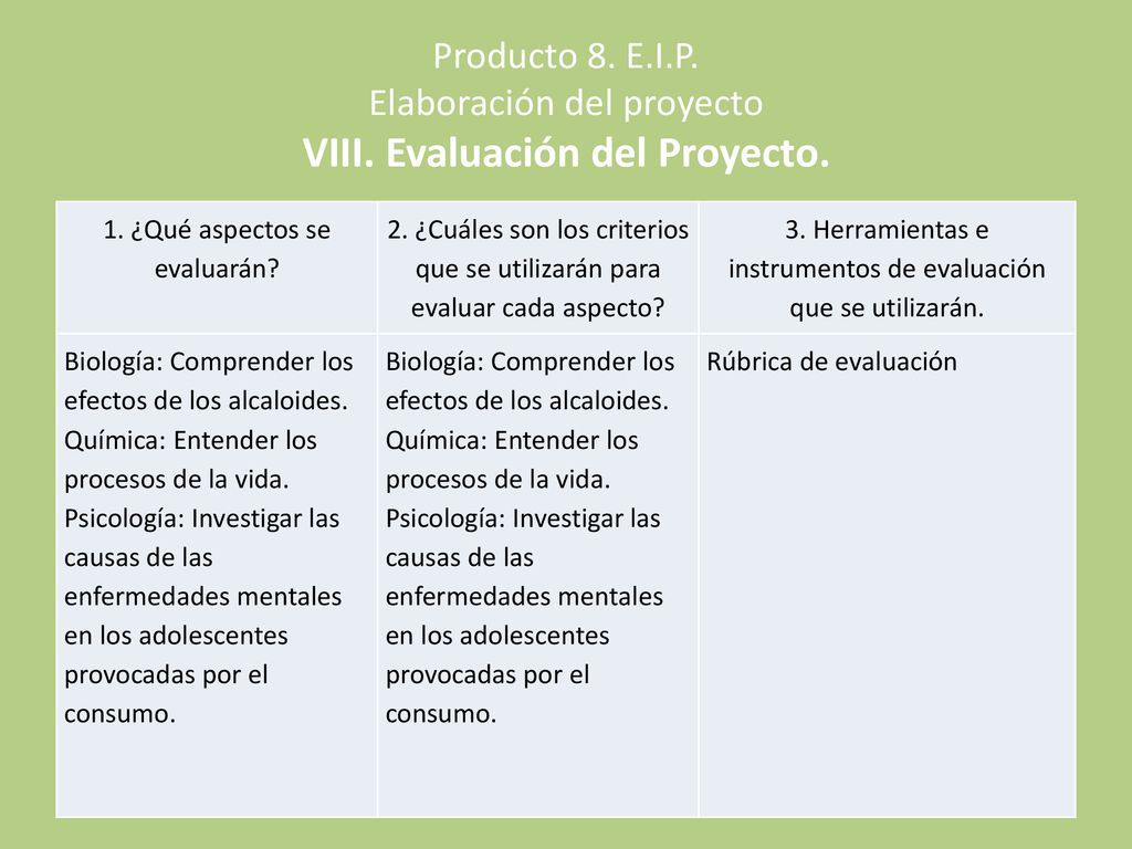Producto 8. E. I. P. Elaboración del proyecto VIII