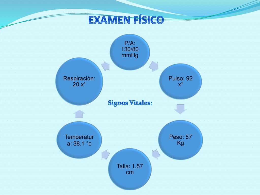 EXAMEN FÍSICO Signos Vitales: P/A: 130/80 mmHg Respiración: 20 x¹