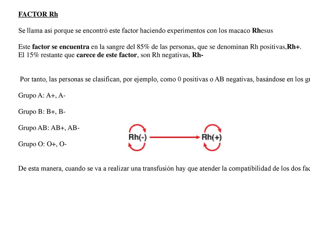 FACTOR Rh Se llama así porque se encontró este factor haciendo experimentos con los macaco Rhesus.