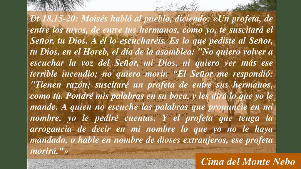 Dt 18,15-20: Moisés habló al pueblo, diciendo: «Un profeta, de entre los tuyos, de entre tus hermanos, como yo, te suscitará el Señor, tu Dios. A él lo escucharéis. Es lo que pediste al Señor, tu Dios, en el Horeb, el día de la asamblea: No quiero volver a escuchar la voz del Señor, mi Dios, ni quiero ver más ese terrible incendio; no quiero morir. El Señor me respondió: Tienen razón; suscitaré un profeta de entre sus hermanos, como tú. Pondré mis palabras en su boca, y les dirá lo que yo le mande. A quien no escuche las palabras que pronuncie en mi nombre, yo le pediré cuentas. Y el profeta que tenga la arrogancia de decir en mi nombre lo que yo no le haya mandado, o hable en nombre de dioses extranjeros, ese profeta morirá. »