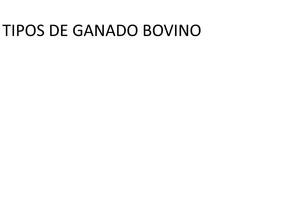TIPOS DE GANADO BOVINO