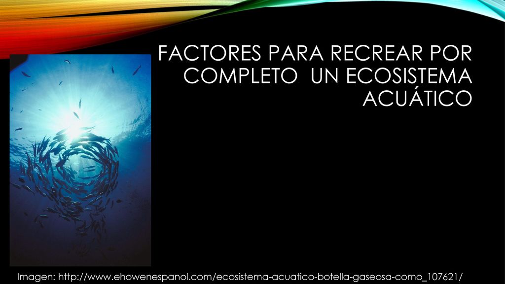 Factores para recrear por completo un ecosistema Acuático