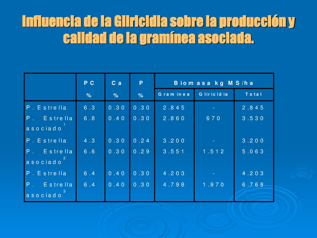 Influencia de la Gliricidia sobre la producción y calidad de la gramínea asociada.