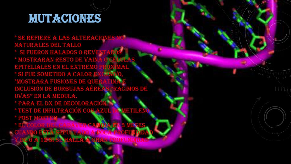 MUTACIONES * Se refiere a las alteraciones no naturales del tallo