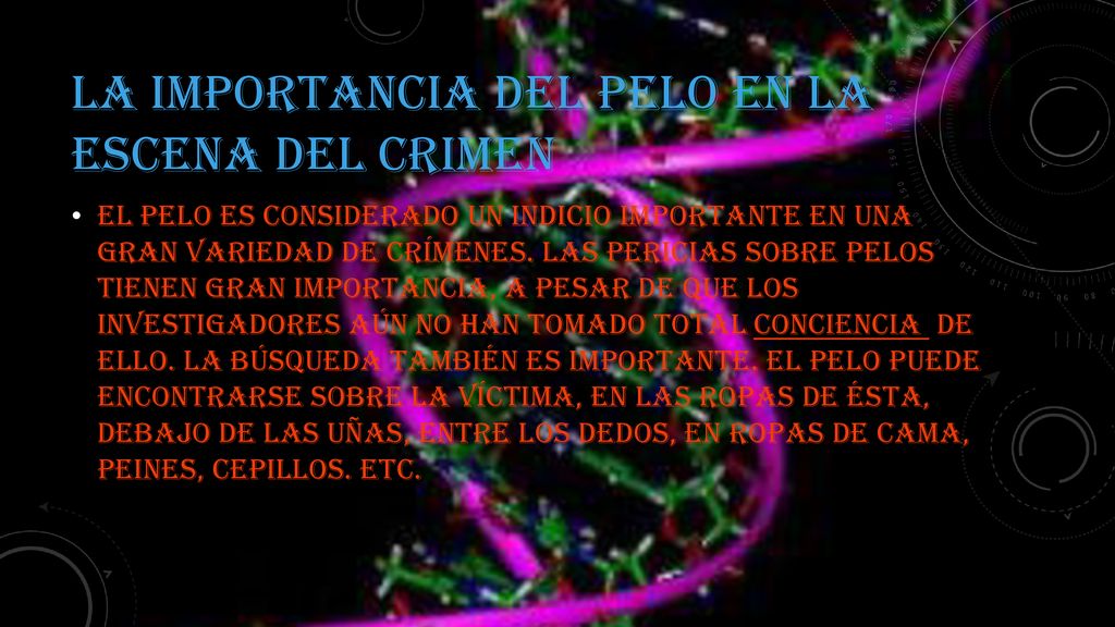 La importancia del pelo en la escena del crimen