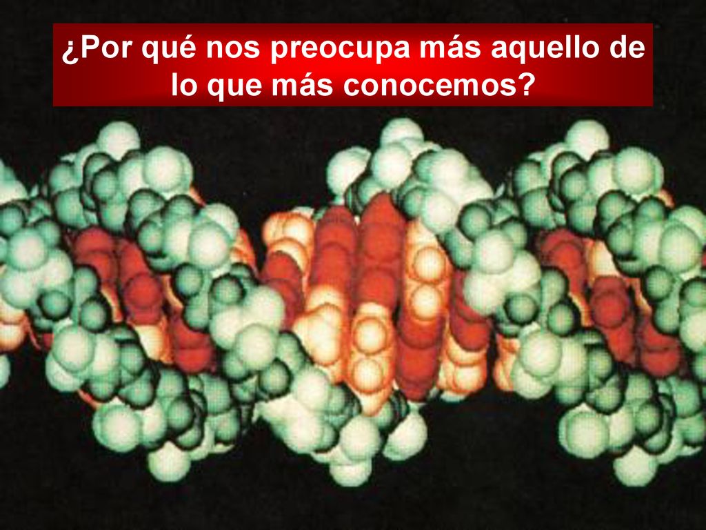 ¿Por qué nos preocupa más aquello de lo que más conocemos
