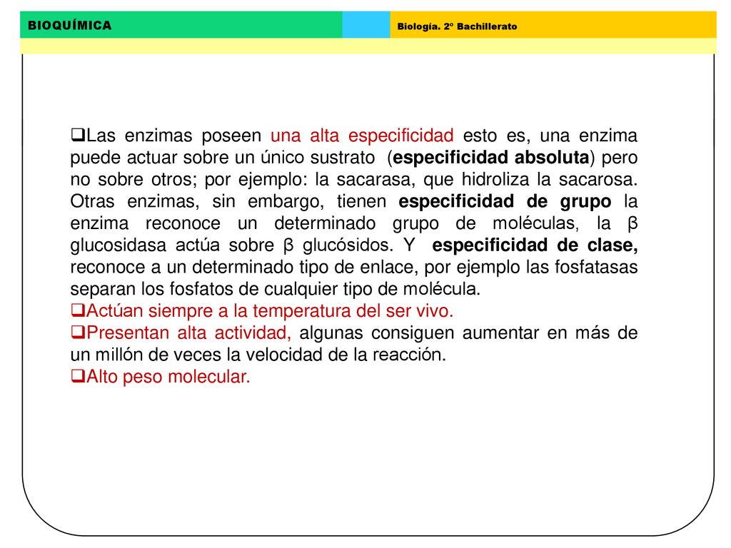 Las enzimas poseen una alta especificidad esto es, una enzima puede actuar sobre un único sustrato (especificidad absoluta) pero no sobre otros; por ejemplo: la sacarasa, que hidroliza la sacarosa. Otras enzimas, sin embargo, tienen especificidad de grupo la enzima reconoce un determinado grupo de moléculas, la β glucosidasa actúa sobre β glucósidos. Y especificidad de clase, reconoce a un determinado tipo de enlace, por ejemplo las fosfatasas separan los fosfatos de cualquier tipo de molécula.
