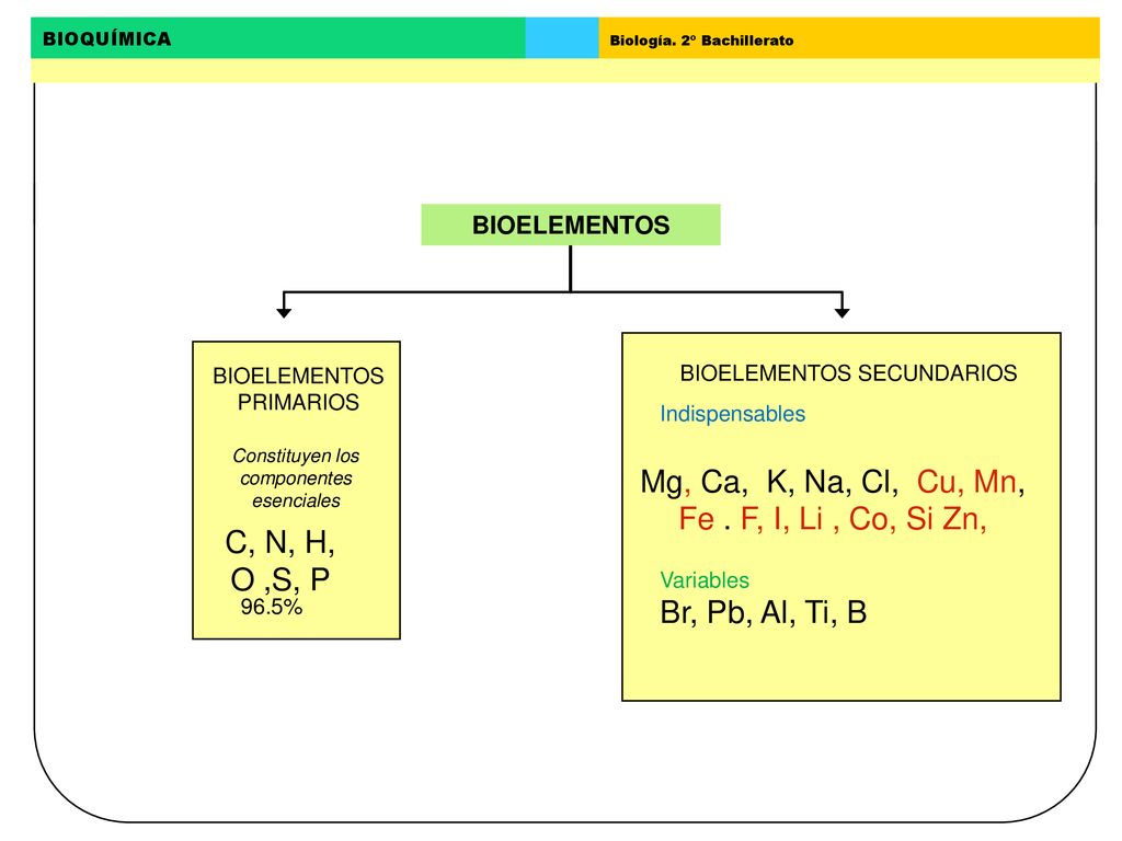Mg, Ca, K, Na, Cl, Cu, Mn, Fe . F, I, Li , Co, Si Zn,