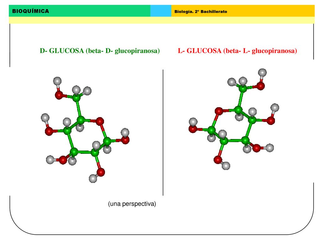 D- GLUCOSA (beta- D- glucopiranosa) L- GLUCOSA (beta- L- glucopiranosa)